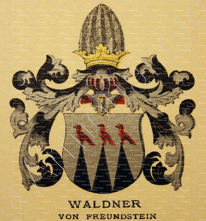 WALDNER von FREUNDSTEIN_ Wappenbuch der Stadt Basel . B.Meyer Knaus 1880_ Schweiz. Suisse. Svizzera +