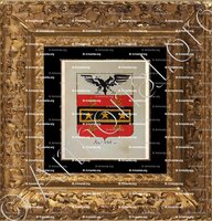 cadre-ancien-or-ALLODI_Armorial Nice. (J. Casal, 1902) (Bibl. mun. de Nice)_France (i)