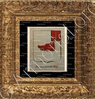 cadre-ancien-or-ROSNYVINEN DE PIRE_Noblesse d'Empire._France