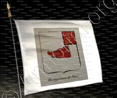 drapeau-ROSNYVINEN DE PIRE_Noblesse d'Empire._France