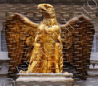 ADLER