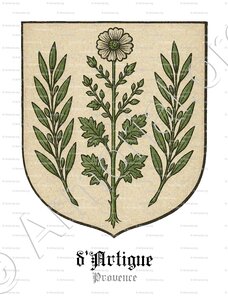 ARTIGUE (d')