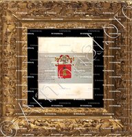 cadre-ancien-or-ALZIARY de MALAUSSENA_Armorial Nice. (J. Casal, 1902) (Bibl. mun. de Nice)_France (i)