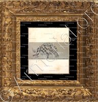 cadre-ancien-or-TONDUTI_Armorial Nice. (J. Casal, 1903) (Bibl. mun. de Nice)._France (i)+