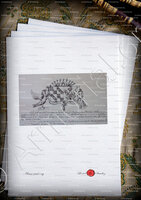 velin-d-Arches-TONDUTI_Armorial Nice. (J. Casal, 1903) (Bibl. mun. de Nice)._France