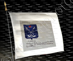 drapeau-AMICI_Armorial Nice. (J. Casal, 1902) (Bibl. mun. de Nice)_France (i)