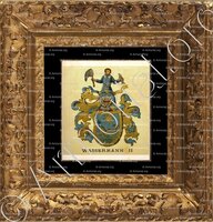 cadre-ancien-or-WASSERMANN_Wappenbuch der Stadt Basel . B.Meyer Knaus 1880_Schweiz 