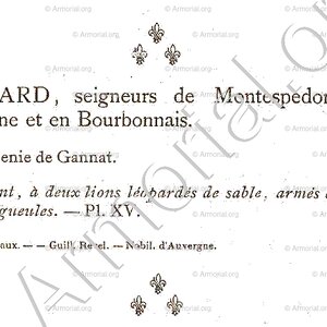 EBRARD_Bourbonnais_France (8)