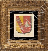 cadre-ancien-or-CHATEAU-SALINS_Armorial des villes, bourgs, et villages., 1877._Europe