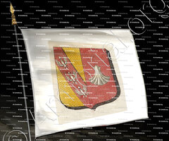 drapeau-CHATEAU-SALINS_Armorial des villes, bourgs, et villages., 1877._Europe