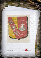 velin-d-Arches-CHATEAU-SALINS_Armorial des villes, bourgs, et villages., 1877._Europe