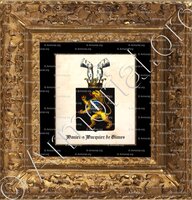 cadre-ancien-or-Wanier o Wacquier de GLIMES_Armorial des Pays-Bas par J. de Neufforge_Nederland