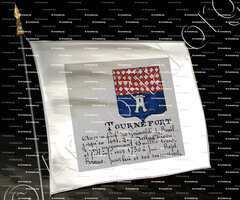 drapeau-TOURNEFORT_Armorial Nice. (J. Casal, 1903) (Bibl. mun. de Nice)._France (i)