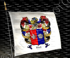 drapeau-PITSCH_Mayenne_France ()
