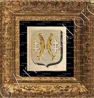 cadre-ancien-or-CHATILLON-SUR-SAONE_Armorial des villes, bourgs, et villages., 1877._Europe