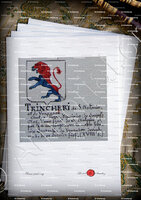 velin-d-Arches-TRINCHERI de SAINT ANTONIN_Armorial Nice. (J. Casal, 1903) (Bibl. mun. de Nice)._France (i)