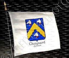 drapeau-CHOIGNARD_Lyonnais_France (2)