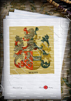 velin-d-Arches-WEISS_Wappenbuch der Stadt Basel . B.Meyer Knaus 1880_Schweiz 