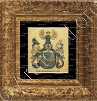 cadre-ancien-or-WEISSENBERGER_Wappenbuch der Stadt Basel . B.Meyer Knaus 1880_Schweiz 