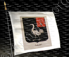 drapeau-SABATIER_Noblesse d'Empire._France