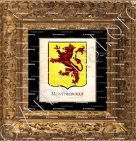 cadre-ancien-or-MONTFREBOEUF_Armorial Philippe de Fleury. Paris._France