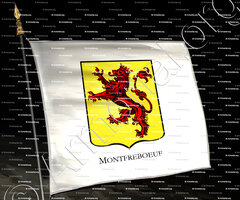 drapeau-MONTFREBOEUF_Armorial Philippe de Fleury. Paris._France