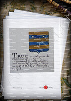 velin-d-Arches-TRUC_Armorial Nice. (J. Casal, 1903) (Bibl. mun. de Nice)._France (i)