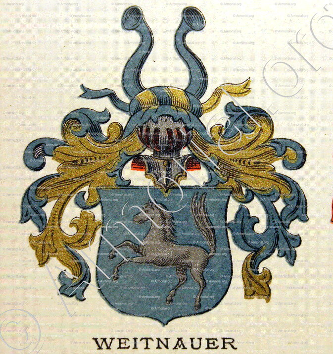 WEITNAUER_Wappenbuch der Stadt Basel . B.Meyer Knaus 1880_Schweiz 