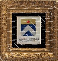 cadre-ancien-or-ARBAUD_Armorial Nice. (J. Casal, 1902) (Bibl. mun. de Nice)_France (i)