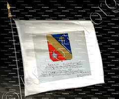 drapeau-ARNAUD GHIS_Armorial Nice. (J. Casal, 1903) (Bibl. mun. de Nice)_France (Arnaud de Châteauneuf) (1)