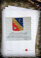 velin-d-Arches-ARNAUD GHIS_Armorial Nice. (J. Casal, 1903) (Bibl. mun. de Nice)_France (Arnaud de Châteauneuf) (1)