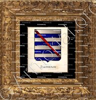 cadre-ancien-or-PARTHENAY_Armorial Philippe de Fleury. Paris._France