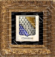 cadre-ancien-or-MARGANNE_Armorial de France. Ville de Vendosme, 1696-1710._France (1)+