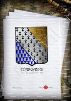 velin-d-Arches-MARGANNE_Armorial de France. Ville de Vendosme, 1696-1710._France (1)+