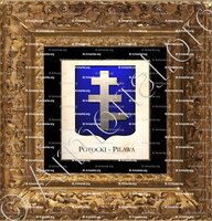 cadre-ancien-or-POTOCKI-PILAWA_Armorial Philippe de Fleury. Paris._France