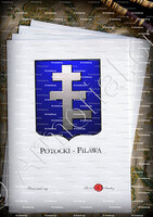 velin-d-Arches-POTOCKI-PILAWA_Armorial Philippe de Fleury. Paris._France