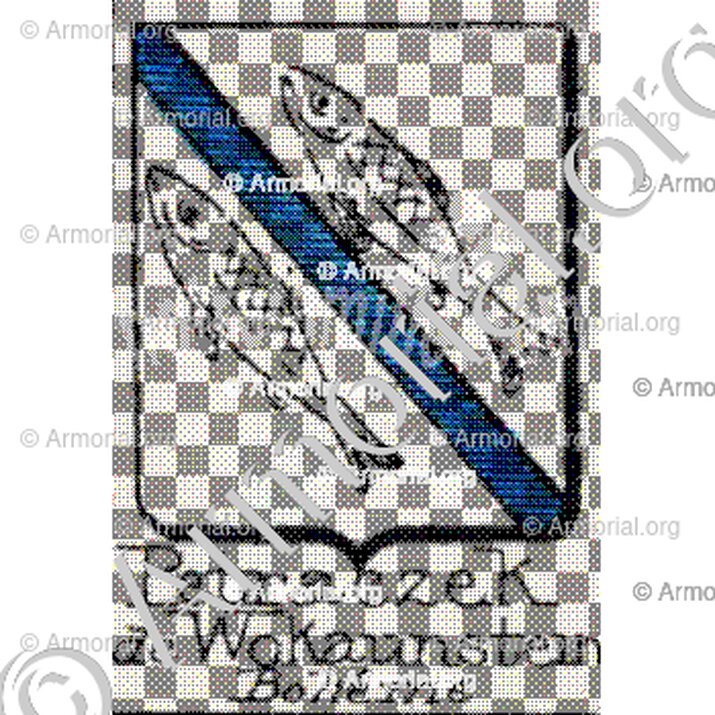 Petraczek de Wokaunstein__