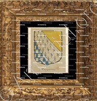 cadre-ancien-or-MARGANNE_Fac-similé de l'Armorial de France. Ville de Vendosme, 1696-1710._France