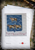 velin-d-Arches-VACHIERI_Armorial Nice. (J. Casal, 1903) (Bibl. mun. de Nice)_France