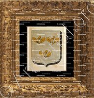 cadre-ancien-or-DARNEY_Armorial des villes, bourgs, et villages., 1877._Europe