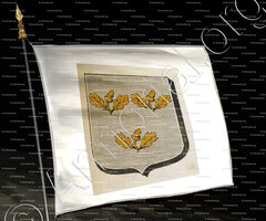 drapeau-DARNEY_Armorial des villes, bourgs, et villages., 1877._Europe