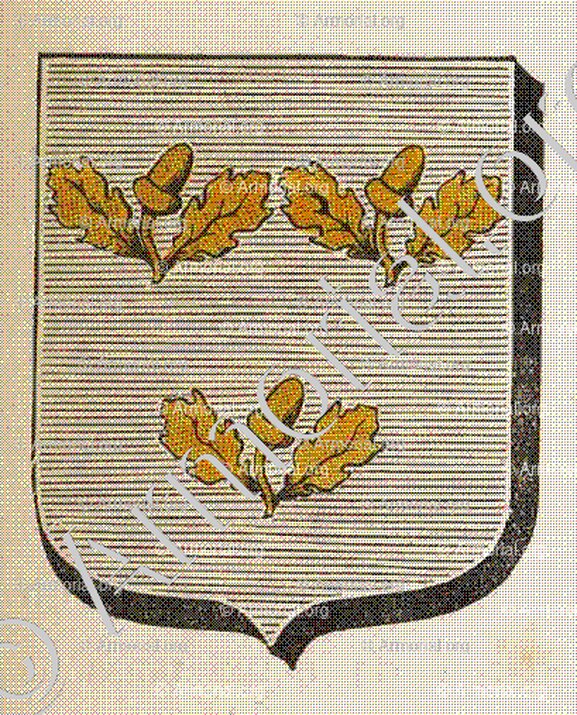 DARNEY_Armorial des villes, bourgs, et villages., 1877._Europe