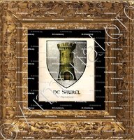 cadre-ancien-or-de SAUREL_Provence_France (1)