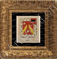 cadre-ancien-or-SALLE_Noblesse d'Empire._France