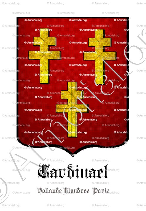 CARDINAEL_Zuid-Holland, Vlaanderen, Paris._Nederland België France (2)