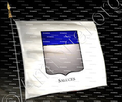 drapeau-SALUCES_Armorial Philippe de Fleury. Paris._France