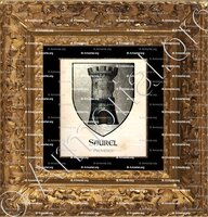 cadre-ancien-or-SAUREL_Provence_France (1)