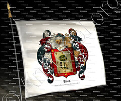 drapeau-LOSA_Valle de Losa (Burgos), Castilla y León._España.