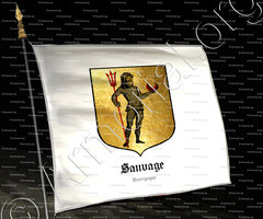 drapeau-SAUVAGE_Bourgogne, 1696._France (2)