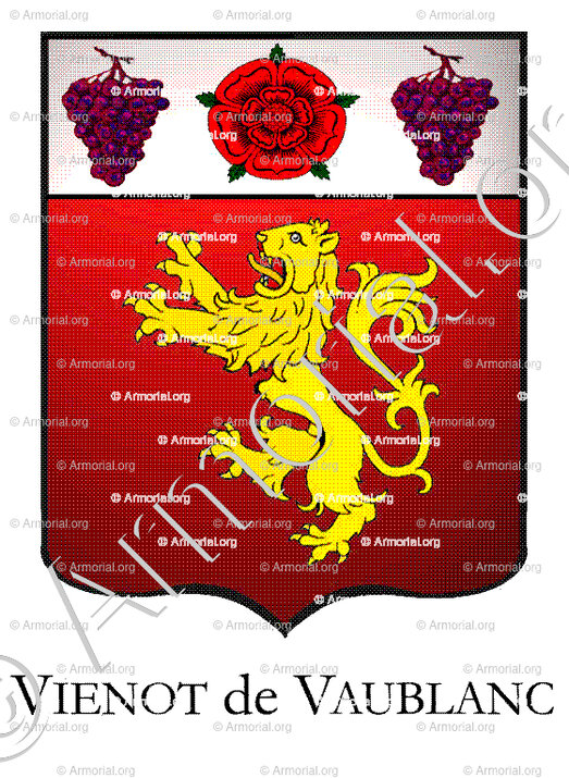 VIENOT de VAUBLANC_Armorial Philippe de Fleury. Paris._France